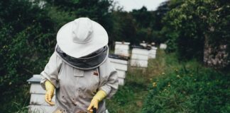 Czego używa pszczelarz?
