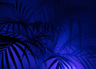 Jak stylizować legginsy? Jak stylizować legginsy?