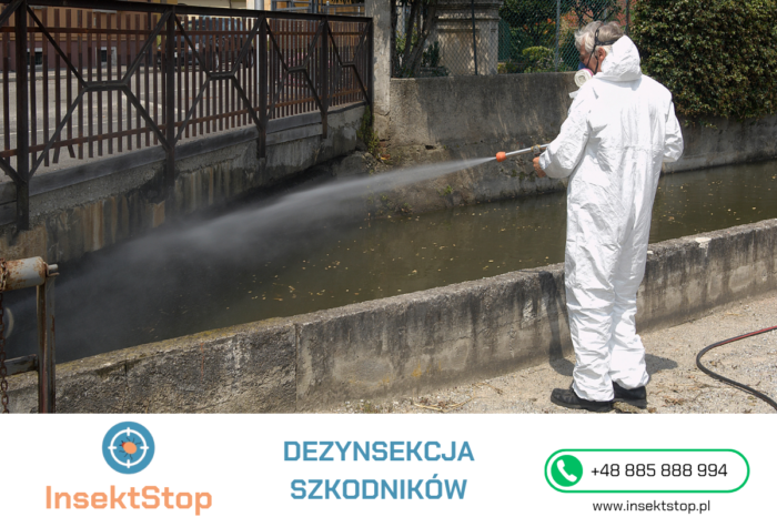 Czym jest zamgławianie termiczne